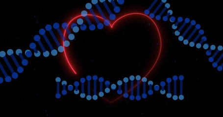 Sticker - DNA strands animation over glowing red heart on black background