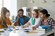 © Mediaphotos - Young female teacher sitting at table with multiethnic group of students during class in school or college