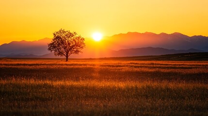 Wall Mural - A single tree stands tall and proud against the backdrop of a vibrant sunset. The sun's golden rays illuminate the sky, casting long shadows across the field and mountains. The image represents hope, 