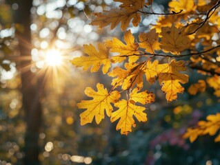 Poster - Golden Autumn Leaves Bathed in Sunlight.