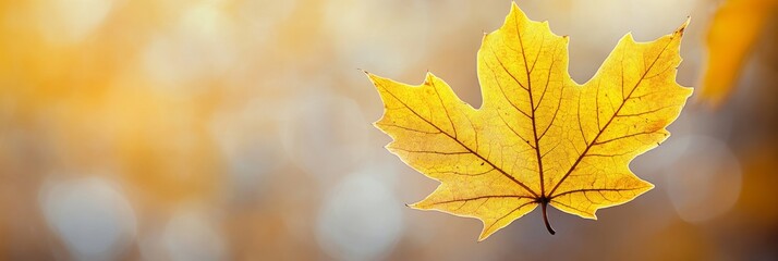 Poster - a beautifully detailed yellow leaf stands out prominently, captured against a gentle, blurred backdr
