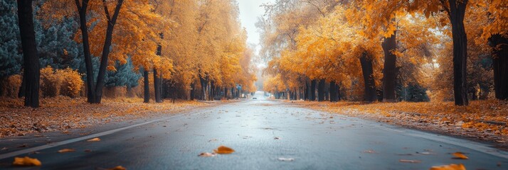 Wall Mural - A deserted city street features golden autumn trees shedding their leaves, creating a serene atmosphere on a calm afternoon with soft light filtering through the branches