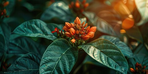 Wall Mural - A Delightful Burst of Life Plant Leaves Featuring a Gorgeous Flower An Image Showcasing the Natural Beauty and Harmony of Flora