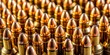 © sawaratch - Extreme closeup of bullets from an assault rifle, ammunition, firearm, military, weapon, round, closeup, detail, metal, gun