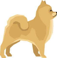 Wall Mural - Pomeranian dog color icon. Animal side view