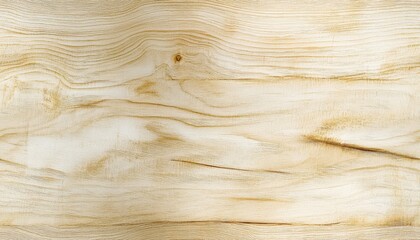 Wall Mural - Close-up of light-colored wooden texture with natural grain patterns, perfect for backgrounds, design projects, and artistic creations.