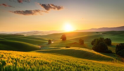 Wall Mural - golden sunrise illuminating serene countryside landscape rolling lush tranquil atmosphere hills greenery scenic fields dawn rural sky trees nature