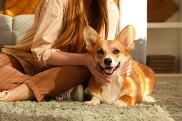 Young woman with Corgi dog at home on Thanksgiving Day, closeup