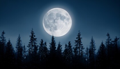 Wall Mural - full moon rising behind a dense forest creating a mystical and serene illustration