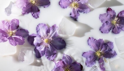 Wall Mural - background of frozen purple flowers in milk water and ice