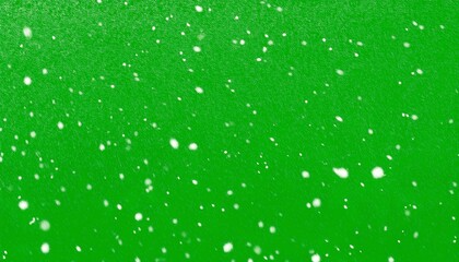 Wall Mural - isolated falling snow on green screen