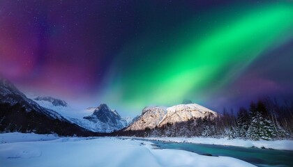 Canvas Print - aurora borealis in winter landscape