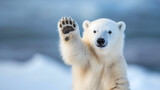 Adorable white polar bear waving, cute and funny happy animal in winter snow, copy space background, perfect for a arctic holiday greeting card