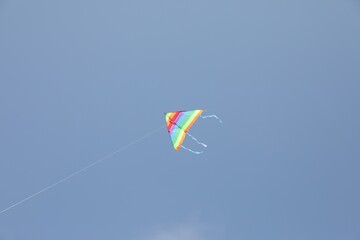 Wall Mural - One colorful kite flying in blue sky