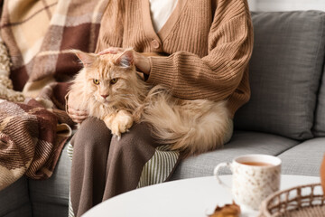 Sticker - Young woman sitting on sofa with cute Maine Coon cat at home