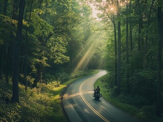 Sticker - Foresty Road Ride