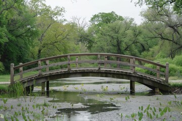 Poster - Zen Garden Footbridge