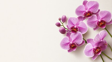 A realistic purple orchid with intricate details, set against a light background with space for text on the top, suitable for elegant invitations.