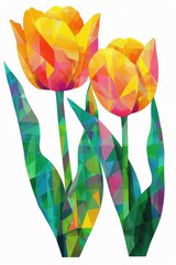 Wall Mural - realistic cartoon drawing of a orange tulip flower and a yellow tulip, green leaves with solid white background 