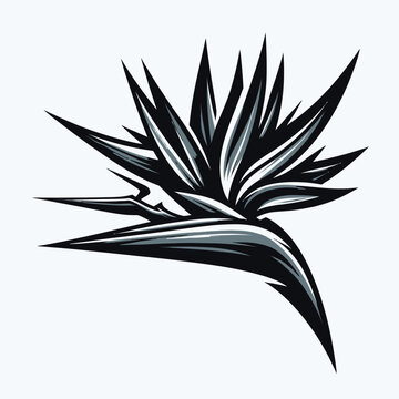 Illustrate a bold and striking  flower