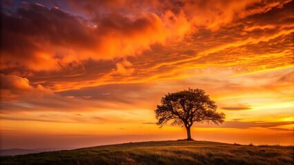 Tangerine-hued sky with a lone tree in the foreground, shot from a slight incline, evoking feelings of isolation and contemplation, a realistic photo image.