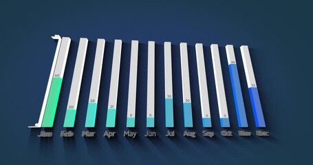 Poster - Monthly data bar chart animation showing values from January to December
