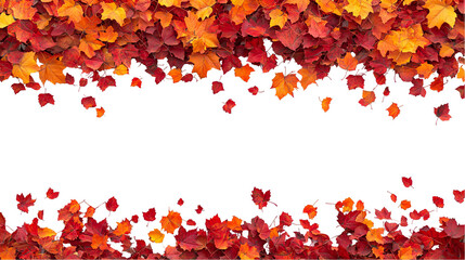 A white transparent background with a border of autumn leaves. The leaves are in shades of red, orange, and yellow, and they are arranged in a random pattern.