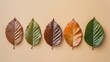 © David Martínez - Cinco hojas de árbol en diferentes etapas de cambio de color, ordenadas en fila sobre fondo beige