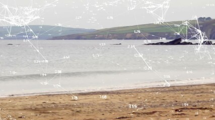 Poster - Network of connections and data points animation over beach and ocean scene