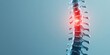 © Chayada - X-ray illustration of the spine showing spinal stenosis with nerve pain and compression, highlighting detailed anatomy for medical study.