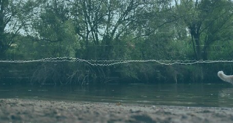 Poster - Animating waveform over riverbank with trees in background