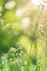 Poster - Green grass background with a sunny summer day in the spring gardens. Generative stock. Blurred nature background.