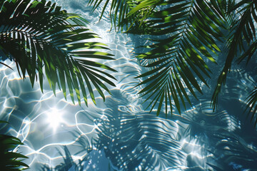 Wall Mural - A leafy green palm tree is reflected in the water