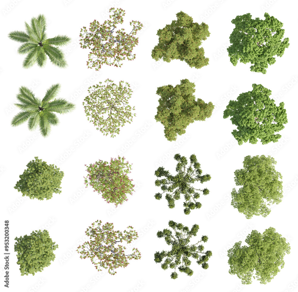 set of trees rendered from the top view, 3D illustration, for digital ...