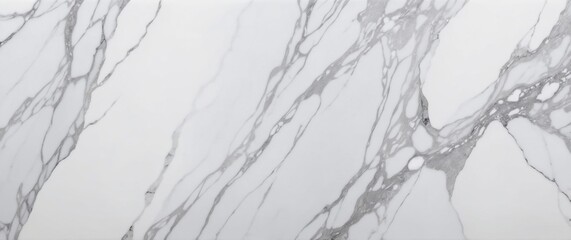 Elegant white marble texture with gray veins