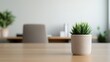 © Nat - A modern office setup featuring a potted plant, adding a touch of greenery to a minimalist workspace.