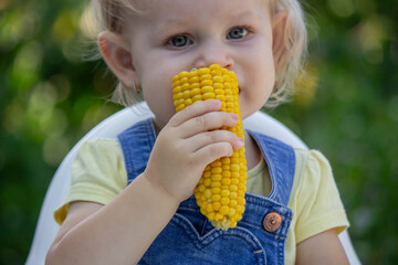 Wall Mural - little girl eats corn. Selective focus