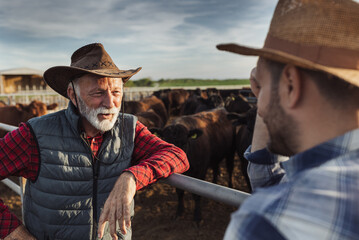 Canvas Print - Farmers talking on cattle ranch