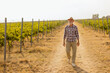 © BGStock72 - Elderly man strolls through sunlit vineyard rows during golden hour, embracing the tranquility of a rural landscape in autumn