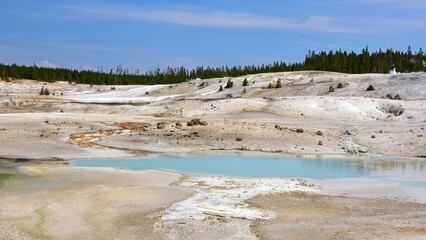 a milky blue,  opalescent  hot spring in the porcelain  basin of norris geyser basin on a sunny summer day in yellowstone national park in wyoming      