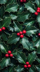 Wall Mural - Festive Holly Berries and Leaves Background