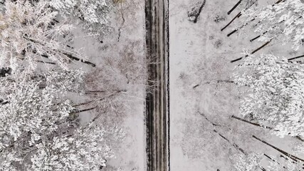 Wall Mural - Top down view of snowy road and forest in winter