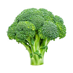 Wall Mural - A fresh green broccoli crown stands out against a transparent background, showcasing its nutritional benefits, broccoli on transparent background