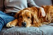 © Ева Поликарпова - A person sits on a couch with a dog in their lap, relaxing together