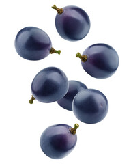 Wall Mural - Falling purple or blue Grape, isolated on white background, full depth of field