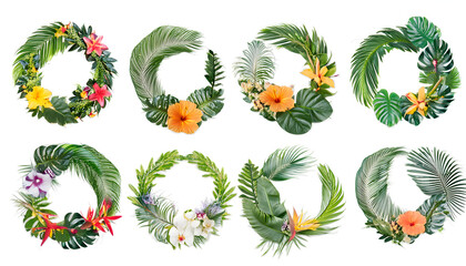  set of collection of different decorative tropical wreath isolated cut out the design 