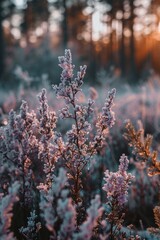 Poster - A detailed view of a plant covered in frost, perfect for winter scenes or nature photography