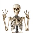 © Samaphon - A retro skeleton with a peace sign, 70s Halloween theme, groovy and bold, isolated on white background