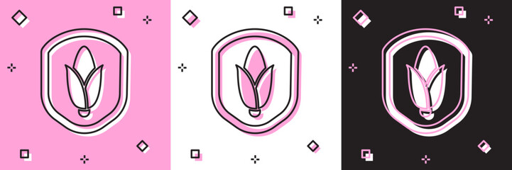 Canvas Print - Set Shield corn icon isolated on pink and white, black background. Security, safety, protection, privacy concept. Vector