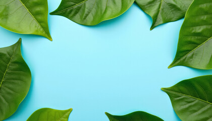 Frame of green leaves with blue background and copy space.